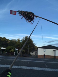 Maibaum 19 2